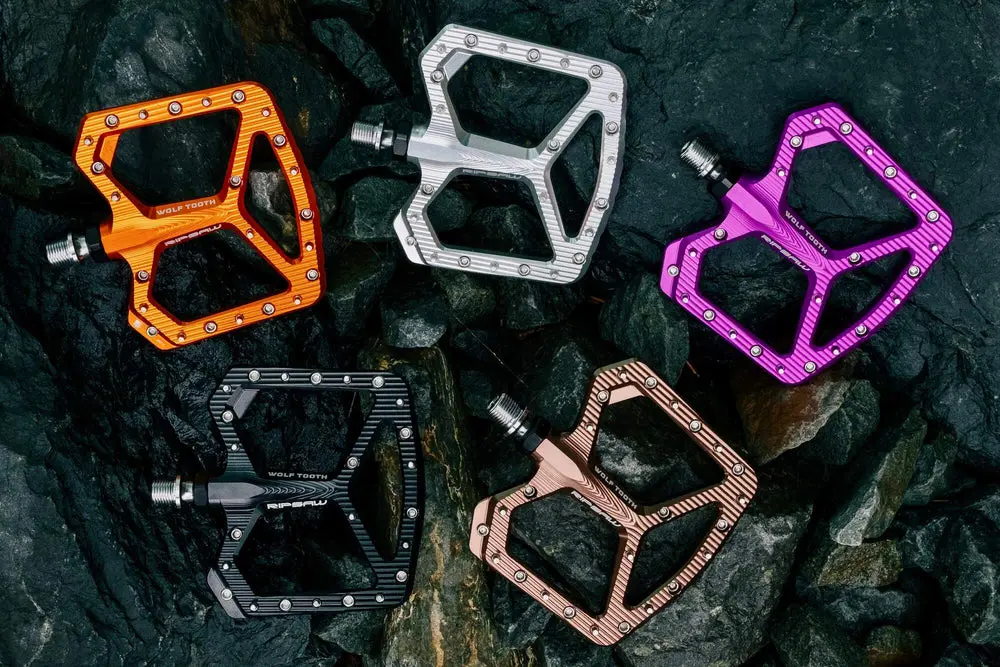 WT24_RipsawPedals_DSCF3271.webp